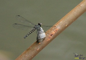 IMG_2506