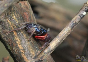 IMG_2510