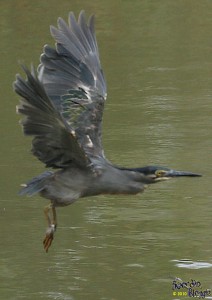 IMG_2552