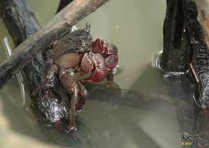 IMG_2582