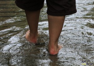 IMG_2660